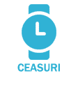black friday ceasuri